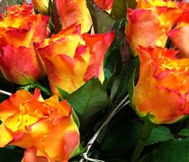 Bradford on Tone Florists |  Bradford on Tone Flower Delivery