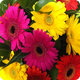 Athelney Florists Somerset | Athelney Flower Delivery Somerset. UK