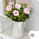 Cavelshay Florists Somerset | Cavelshay Flower Delivery Somerset. UK