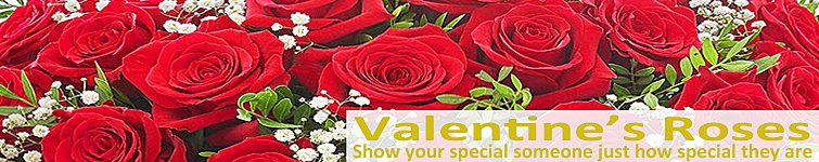 Valentine Roses