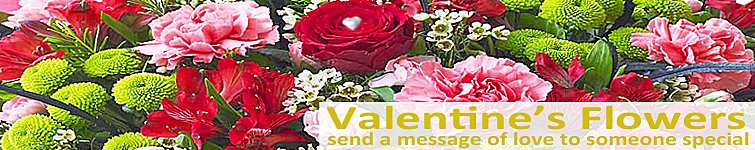 Valentines Flowers