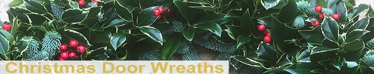 Christmas  Door Wreaths