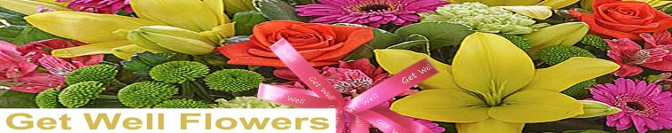 Get Well Flowers and Gifts