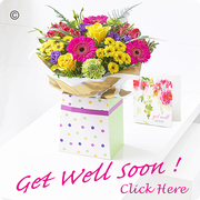 Get well flowers sameday delivery Taunton
