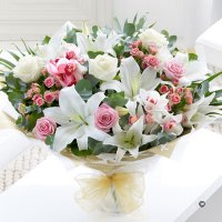 Help,Tips & Advice Help,Tips & Advice