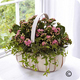 Wellington Hill Florists Wellington Hill Flowers Somerset. UK