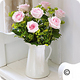 Preston Bowyer Florists Preston Bowyer Flowers Somerset. UK