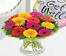 Musgrove Park Hospital Flower Delivery | Send Flowers To Musgrove Park Hospital Somerset
