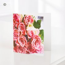 Pink Rose Blank Greetings Card Code: C06131ZF  | National delivery and local delivery or collect from our shop