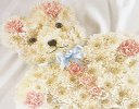 Teddy Bear Funeral Flower Tribute Code: JGFF1121PTB | Local Delivery Or Collect From Shop Only