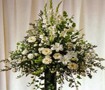 White Pedestal Arrangement