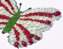 Butterfly funeral flower tribute Code: JGFF96WBFT | Local Delivery Or Collect From Shop Only