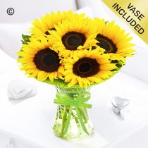 Get well sunflower sunburst vase Code: JGFSU54879SSGW | Local delivery or collect from shop only