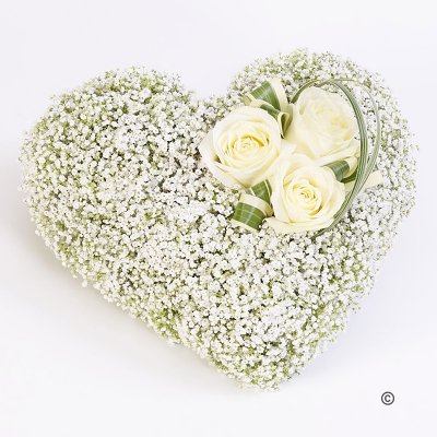 White Gypsophila Heart Code: JGF19700WGH | Local Delivery Or Collect From Shop Only