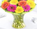 Germini Cheer Vase Code: JGFG00280GC  | Local Delivery Or Collect From Shop Only
