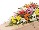 Vibrant Mixed Lily Casket Spray Code: F13530VS | National and Local Delivery