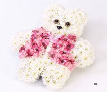 Pink Teddy Bear Code: F13751PS