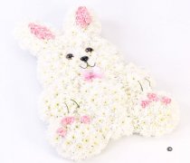 Rabbit Tribute Pink and White Code:JGFF13221PS  | Local Delivery Or Collect From Shop Only