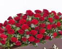 Red Rose and Red Carnation Casket Spray Code: F13590RS | National and Local Delivery