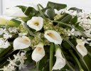 Calla Lily and Orchid Casket Spray Code: F13841WS | National and Local Delivery