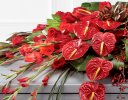 Rose, Orchid and Anthurium Casket Spray Code: F13871RS | National and Local Delivery