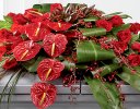 Rose, Orchid and Anthurium Casket Spray Code: F13871RS | National and Local Delivery