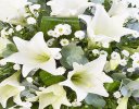 White Lily Spray Code: F13500WS