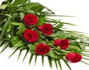 Simple Red Rose Sheaf Code: F13511RS | National and Local Delivery