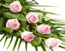 Simple Pink Rose Sheaf Code: F13511PS | National Delivery and Local Delivery Or Collect From Shop