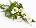 White Calla Lily Dracaena Sheaf Code: JGFF3101CLS | Local Delivery Or Collect From Shop Only