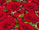 Classic red rose and red spray carnation heart Code: FL83460RS| Local delivery or collect from our shop only