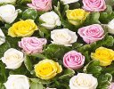 Yellow, White and Pink Mixed Rose Heart Code: F13181MS | National and Local Delivery