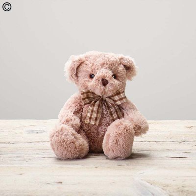 James Junior Bear Code: C15061ZF  | National and Local Delivery