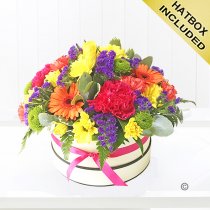 Citrus Brights Hatbox Code: JGFH3514CHB  | Local Delivery Or Collect From Shop Only