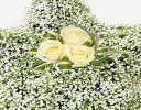 White Gypsophila Star Tribute  Code: JGF13000WS | Local Delivery Or Collect From Shop Only