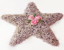 Pink Gypsophila Star Tribute Code: JGF14000PS | Local Delivery Or Collect From Shop Only