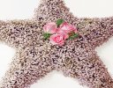 Pink Gypsophila Star Tribute Code: JGF14000PS | Local Delivery Or Collect From Shop Only