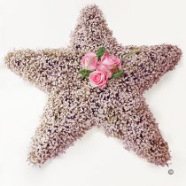 Pink Gypsophila Star Tribute Code: JGF14000PS | Local Delivery Or Collect From Shop Only