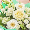 Sympathy gift box Code: CCSYMGBN0100 | Local delivery or collect from our shop only
