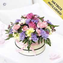 Pastel blush hatbox Code: JGF32411HB | Local delivery or collect from shop only  lilac statice