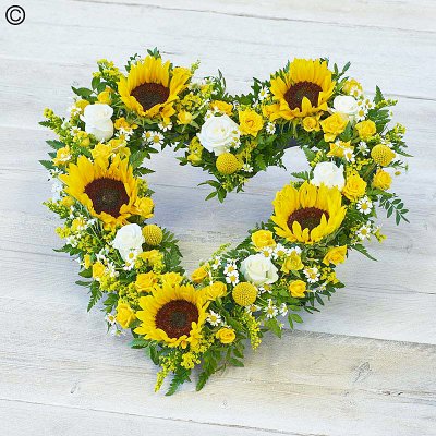 Striking Sunflower Heart Code: F14531YS | National delivery and local delivery or collect from our shop