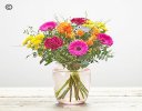 Lily free flowers in a vase brights florist choice Code: LFVASE1B | National delivery and local delivery or collect from our shop