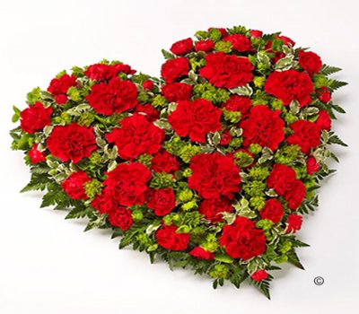 Classic Carnation and Spray Carnation Heart Code: JGFF1230REH | Local Delivery Or Collect From Shop Only