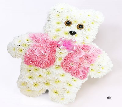 Teddy Bear Pink & White Code: JGFF136187PT | Local Delivery Or Collect From Shop Only