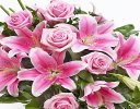 Pink Rose & Pink Lily Spray Code: Code: F13650PS