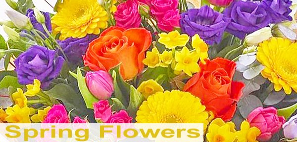 Spring Themed Flowers | Sameday Flower Delivery Wellington