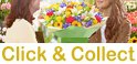 Click and collect flowers and gifts from our taunton shop