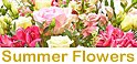 Happy Birthday Flower Delivery | Wellington Flower delivery