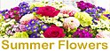 Birthday Flowers Interflora | same day bithday flower delivery Taunton