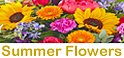 Summer Themed Flowers - same day delivery Taunton flower delivery